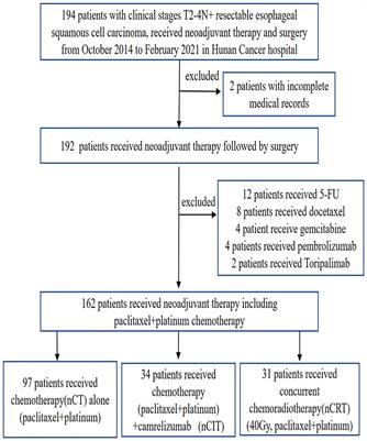 Perioperative outcomes of neoadjuvant chemotherapy plus camrelizumab compared with chemotherapy alone and chemoradiotherapy for locally advanced esophageal squamous cell cancer